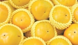 甘肃的哈密瓜免费吃,免费品尝甜蜜诱惑