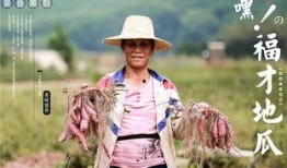 千万网红吃瓜视频,揭秘娱乐圈幕后真相